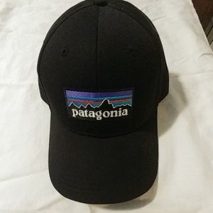 Patagonia cap